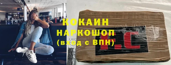 сатива Пересвет