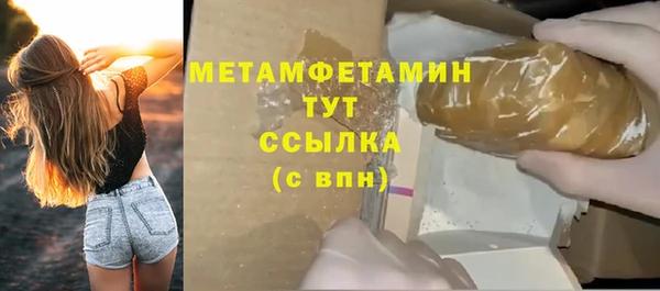 сатива Пересвет