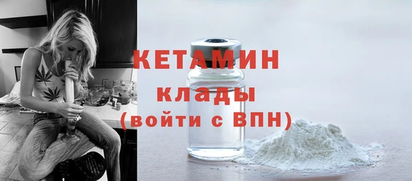 сатива Пересвет