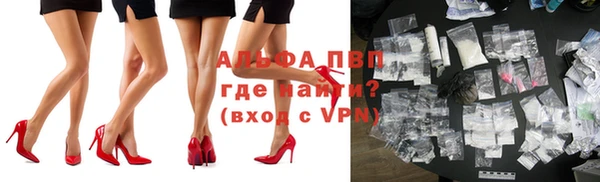 ПСИЛОЦИБИНОВЫЕ ГРИБЫ Рославль